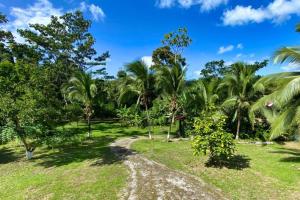 Kebun di luar Into the Greens