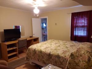 TV a/nebo společenská místnost v ubytování Regent Motel