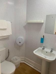 a bathroom with a white toilet and a sink at The White Hart Hotel in Holsworthy