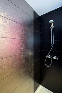 a shower in a bathroom with black tiles at Gîte Villa Léanne in Namur