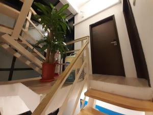 Fotografie z fotogalerie ubytování Yueli Homestay v destinaci Magong