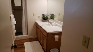 Billede fra billedgalleriet på The Orchard i South Jordan