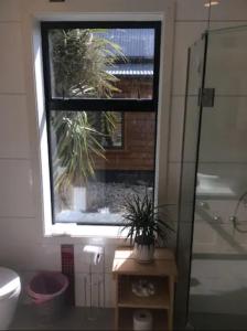 a bathroom with a window with a potted plant in it at Stunning Scandi Style Home Overlooking Lake Wanaka in Wanaka