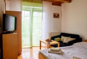 TV a/nebo společenská místnost v ubytování Apartmány Jílovice