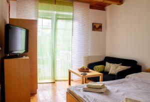 TV/trung tâm giải trí tại Apartmány Jílovice