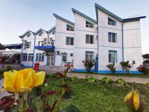 a building with a yellow flower in front of it at Hotel Sunrise in Crisan