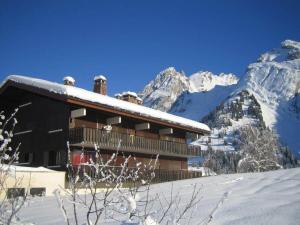 Appartement La Clusaz, 2 pièces, 4 personnes - FR-1-304-120 im Winter