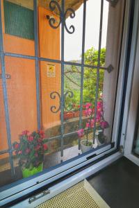 une fenêtre ouverte avec des plantes en pot sur un balcon dans l'établissement Casa Sandrina, à Levanto