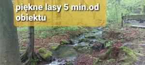 Przyroda w pobliżu tego pensjonatu