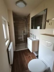 ein Bad mit einer Dusche, einem WC und einem Waschbecken in der Unterkunft Ferienwohnung Familie Kowarik in Kurort Oberwiesenthal
