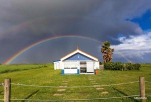 Fotografie z fotogalerie ubytování Casa dos Flamingos v destinaci Murtosa
