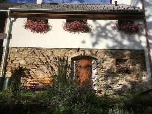 Zahrada ubytování Apartmán Na Vršku