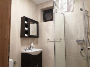 uma casa de banho com um lavatório e um chuveiro em Pensiunea Lara em Rîşnov