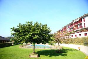The swimming pool at or close to Berlín - Basquenjoy