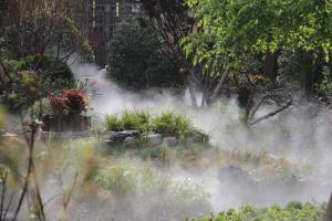 un jardín con humo saliendo de las plantas en InterContinental Resort Jiuzhai Paradise, an IHG Hotel, en Jiuzhaigou