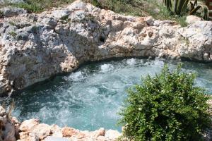 Φωτογραφία από το άλμπουμ του Albergo"Villa Biscotti" σε Peschici