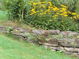 a stone wall with yellow flowers in a garden at Ferienpension Fremuth in Ruhmannsfelden