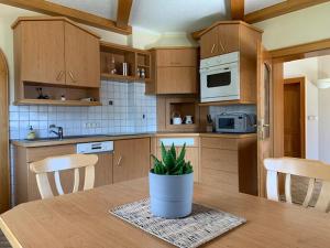 eine Küche mit einem Tisch und einer Topfpflanze darauf in der Unterkunft Haus Schmidl in Kötschach