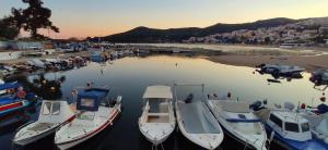 a group of boats are docked in a harbor at Overwave Apartment in Kavála