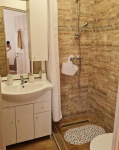 a bathroom with a sink and a shower at Hócza House Poroszló in Poroszló