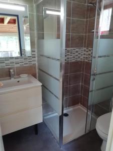 a bathroom with a shower and a sink and a toilet at Gîte Granit des Fraux in Besse-et-Saint-Anastaise