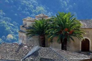two palm trees in front of a building at Casa Storica in Francavilla Marittima