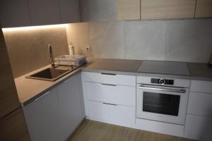 Kuchyňa alebo kuchynka v ubytovaní Apartament Pod Papugami + 16 fotografií