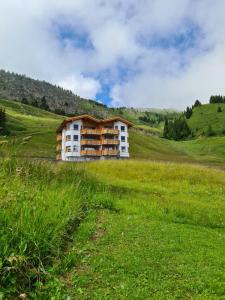 a building on a hill in a grassy field at Alpen-Park 2. Stock West in Riederalp