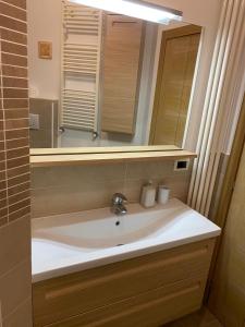 uma casa de banho com um lavatório e um espelho em Residenza Casa del Sole Appartamento em Bellaria-Igea Marina