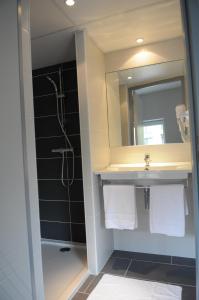 La salle de bains est pourvue d'un lavabo, d'une douche et d'un miroir. dans l'établissement Ruthenium Hotel, à Rodez