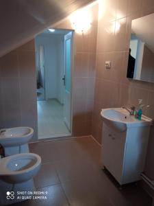 a bathroom with a toilet and a sink and a mirror at Casa Craciun Ciocanesti in Ciocăneşti +15 photos