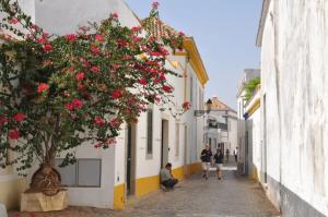 a group of people walking down a street with red flowers at cosy2bedroomapartment in Loulé