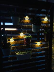 a group of potted plants on a wooden wall with lights at Apartman Filip in Biograd na Moru