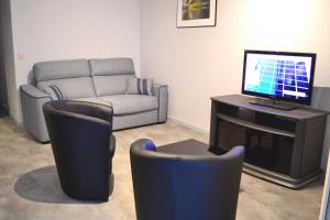 een woonkamer met een bank en een televisie bij Studio classé 3 étoiles de 39m² au pied des thermes in Amélie-les-Bains-Palalda
