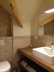W łazience znajduje się umywalka, toaleta i lustro. w obiekcie B&B Droomzoet w mieście Herentals