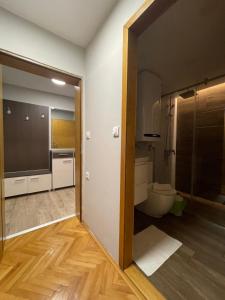 La salle de bains est pourvue de toilettes et d'une porte en verre. dans l'établissement Leo, à Niš