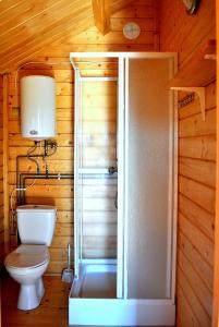 a bathroom with a toilet and a shower at Domki Olina in Polańczyk