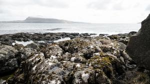 un grupo de rocas en la orilla del océano en Hotel Djurhuus en Tórshavn