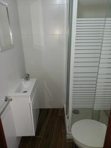 un bagno con wc, doccia e lavandino di Guest House Páteo da Cadeia Velha a Serpa