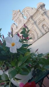 Fotografie z fotogalerie ubytování B&B I sei volti Lecce v destinaci Lecce