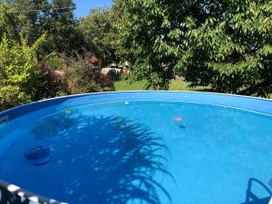 Bazén v ubytování Apartmány Jílovice nebo v jeho okolí + 24 fotografií