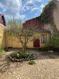 a tree in a flower bed in front of a building at lägenhet på innergården in Alingsås +2 photos