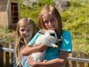 Animal o animals de companyia a Alpengasthof Gaislach Alm