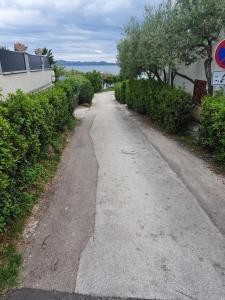 Příroda nedaleko apartmánu