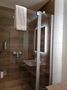 uma casa de banho com um chuveiro e uma porta de vidro em Hotelgasthof Kirchenwirt em Schierling