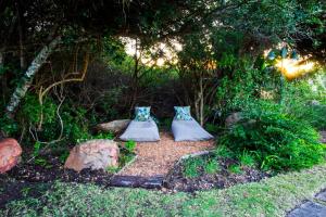 two pillows sitting on the ground under a tree at Dune Ridge Country House in St Francis Bay