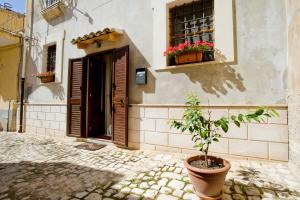 a plant in a pot in front of a building at Il Dammuso nel Vicolo in Scicli