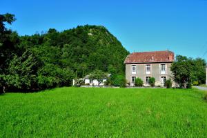 a large grassy field in front of a house at Gite Esmeralda in Biert