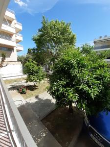 Vonkajšia záhrada v ubytovaní Asteris appartment