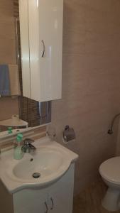 Koupelna v ubytování Apartman i sobe Martina